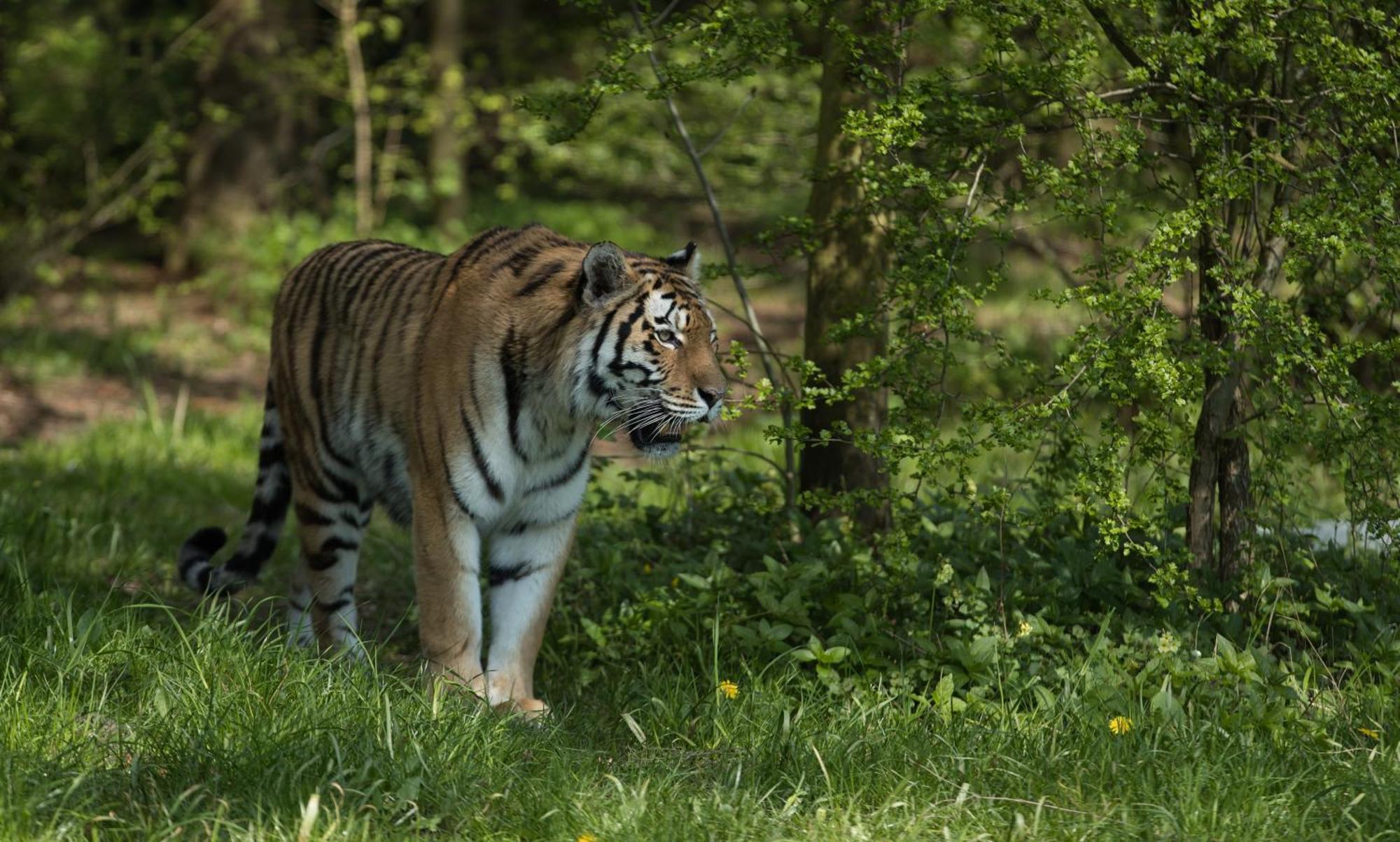 Knuthenborg Safaripark Hotel Maribo Exterior photo