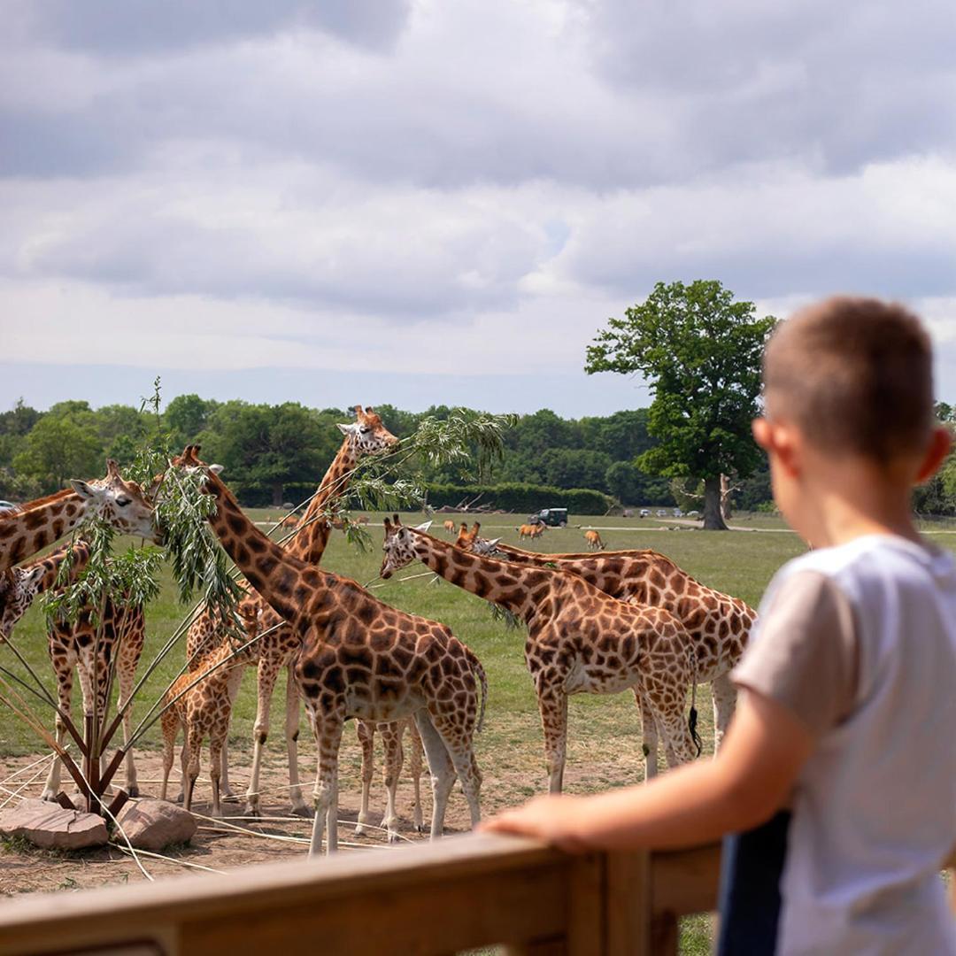 Knuthenborg Safaripark Hotel Maribo Exterior photo