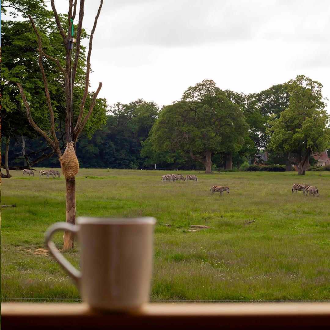 Knuthenborg Safaripark Hotel Maribo Exterior photo